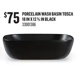 Canac Porcelain Wash Basin Tosca 18 in x 12 3/4 in offer