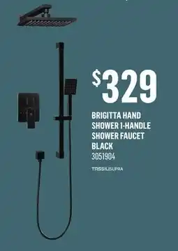 Canac Brigitta Hand Shower 1-Handle Shower Faucet offer