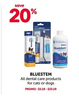 Mondou BLUESTEM All dental care products for cats or dogs offer