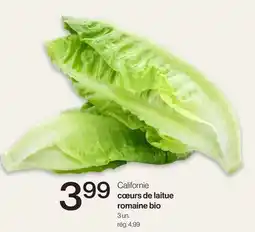 Avril cœurs de laitue romaine bio offer