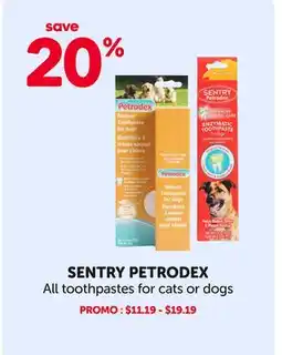 Mondou SENTRY PETRODEX All toothpastes for cats or dogs offer