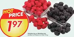 Sobeys Raspberries or blackberries offer