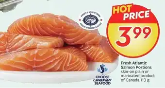 Fresh atlantic salmon portions