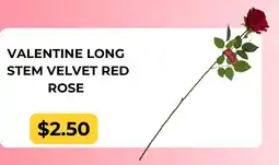 Dollarama Valentine long stem velvet red rose offer