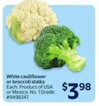 White Cauliflower or Broccoli Stalks