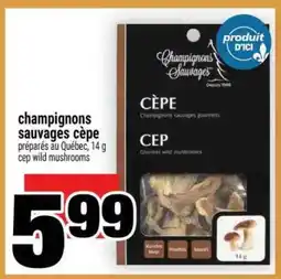 Super C champignons sauvages cèpe offer