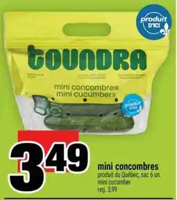 Super C mini concombres offer
