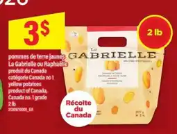 Maxi pommes de terre jaunes La Gabrielle ou Raphaëlle offer