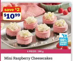 M & M Food Market Mini Raspberry Cheesecakes offer