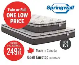 The Brick Springwall Odell Eurotop Twin Mattress offer