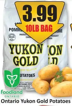 Starsky Ontario Yukon Gold Potatoes offer