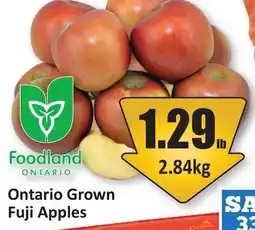Starsky Ontario Grown Fuji Apples offer
