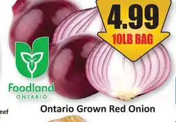 Starsky Ontario Grown Red Onion offer