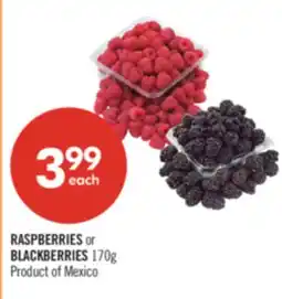 Shoppers Drug Mart RASPBERRIES or BLACKBERRIES offer