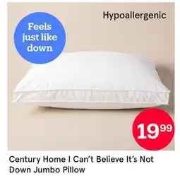 Kitchen Stuff Plus I Can't Believe It's Not Down Jumbo Pillow offer