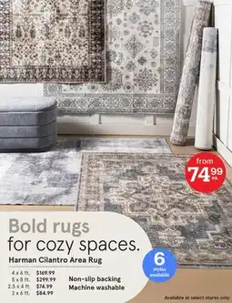 Kitchen Stuff Plus Harman Cilantro Area Rug offer