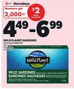 Independent City Market WILD PLANET SARDINES offer