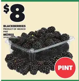 Independent City Market BLACKBERRIES, PINT offer