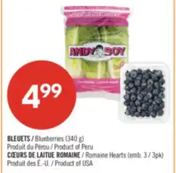 Pharmaprix Blueberries (340 g), Romaine Hearts offer