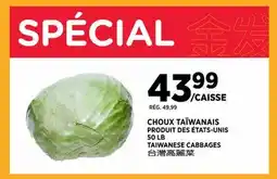 Kim Phat TAIWANESE CABBAGES offer