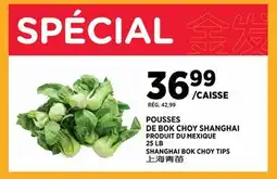 Kim Phat SHANGHAI BOK CHOY TIPS offer