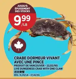 Kim Phat LIVE DUNGENESS CRAB WITH ONE CLAW offer
