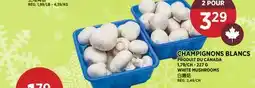 Kim Phat WHITE MUSHROOMS offer