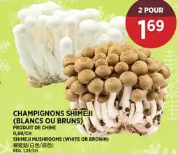 Kim Phat SHIMEJI MUSHROOMS (WHITE OR BROWN) offer