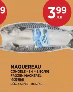 Kim Phat SH FROZEN MACKEREL offer