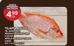 Kim Phat WHOLE FRESH RED TILAPIA offer