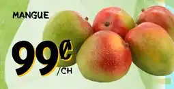 Marche Salaberry MANGUE offer