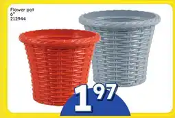 Rossy Flower pot offer