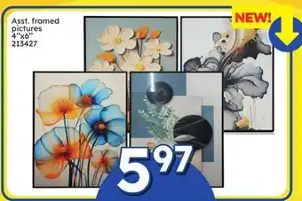 Rossy Asst. framed pictures offer