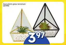 Rossy Succulents glass terrarium offer