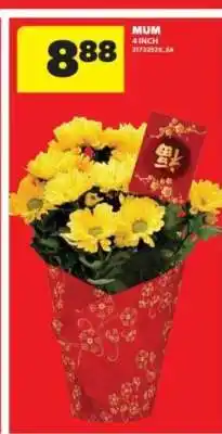 Real Canadian Superstore Mum offer