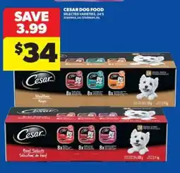 Real Canadian Superstore CESAR DOG FOOD offer