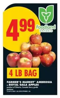 No Frills Farmer's Market Ambrosia or Royal Gala Apples offer