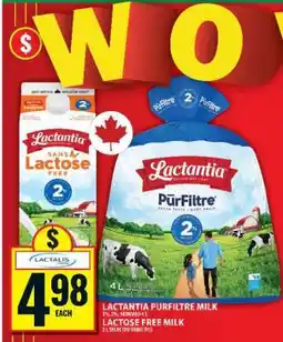 Food Basics LACTANTIA PURFILTRE MILK offer