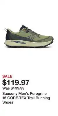 Sport Chek Saucony Men's Peregrine 15 GORE-TEX Trail Running Shoes offer