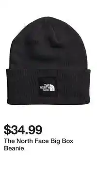 Sport Chek The North Face Big Box Beanie offer