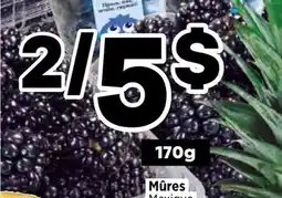 Val-Mont Mûres offer