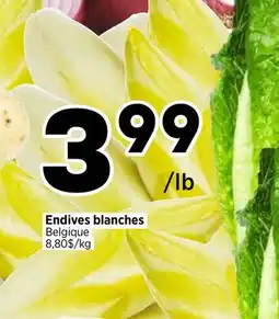 Val-Mont Endives blanches offer