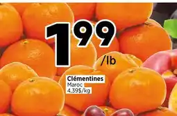 Val-Mont Clémentines offer