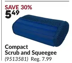 Princess Auto Compact Scrub and Squeegee offer