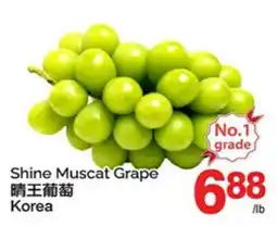 T&T Supermarket SHINE MUSCAT GRAPE offer