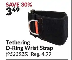 Princess Auto Tethering D-Ring Wrist Strap offer
