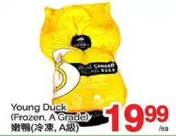 T&T Supermarket YOUNG DUCK offer