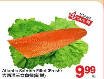T&T Supermarket ATLANTIC SALMON STEAK offer
