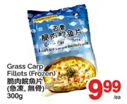 T&T Supermarket GRASS CARP FILLETS offer