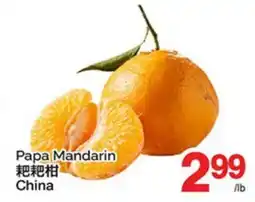 T&T Supermarket PAPA MANDARIN offer